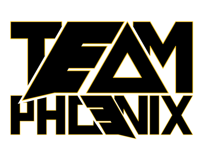 team logo