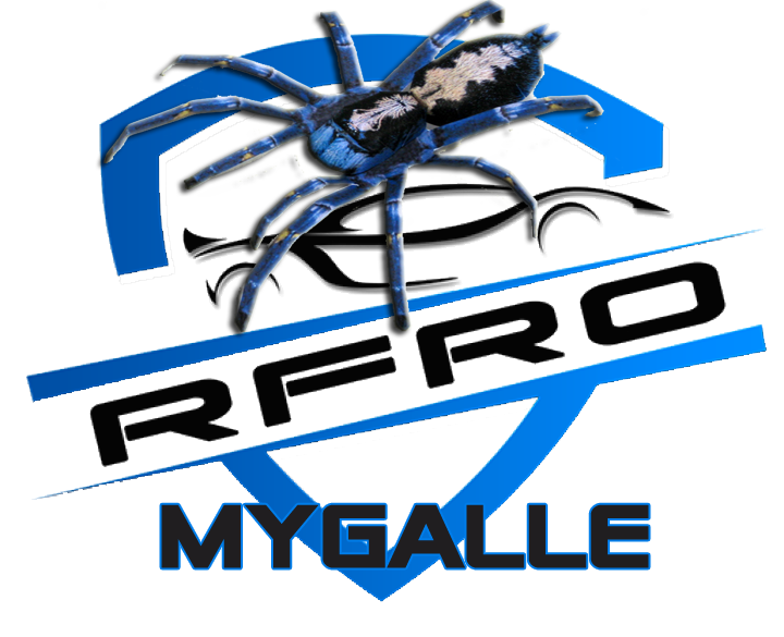 team logo